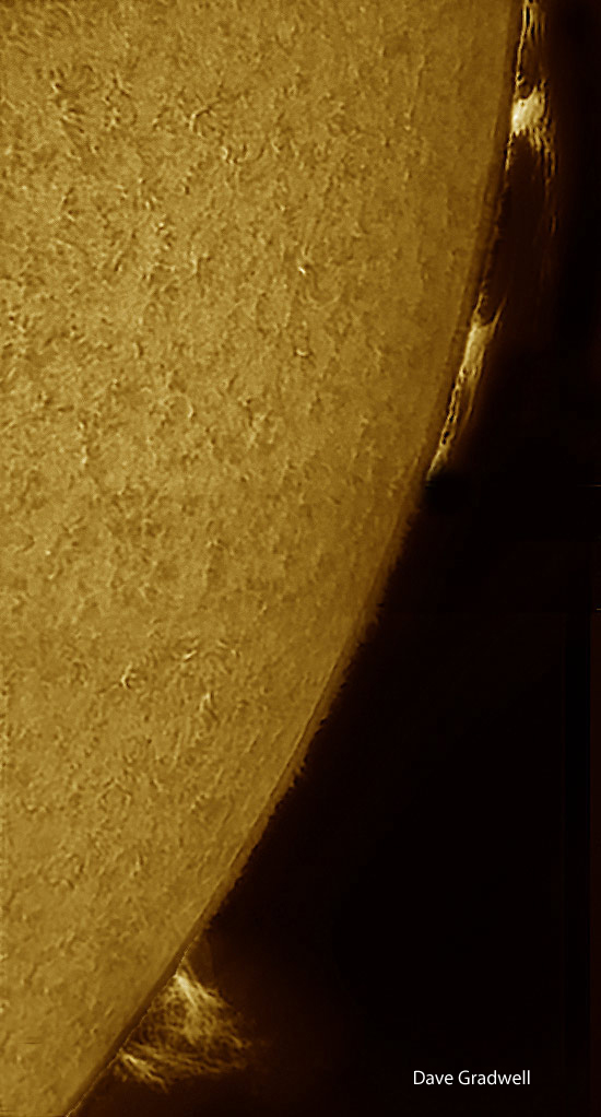 Solar Prominence Image