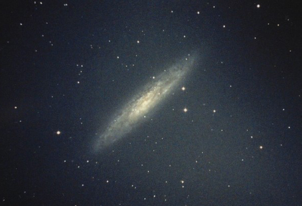 NGC253