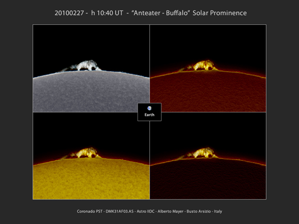 Solar Prominence