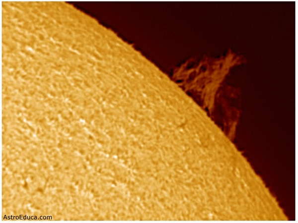 Solar Prominence