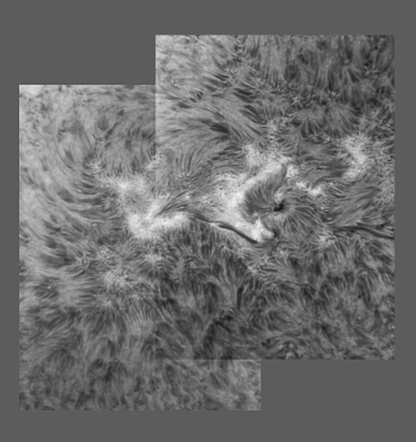Sunspot NOAA 11087