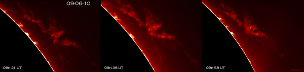 Solar Prominence