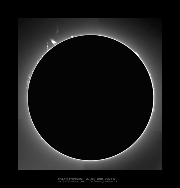Solar Prominence - Full Disk