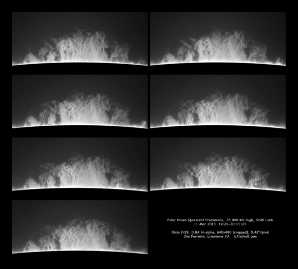 Polar Crown Quiescient Prominence - Jim Ferreira