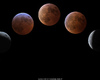 Lunar Eclipse March 07